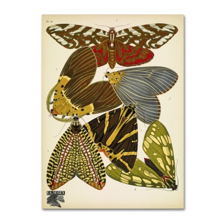 Vintage Apple Collection 'Papillons 14' Canvas Art,35x47